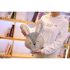 COUSSIN LAPIN